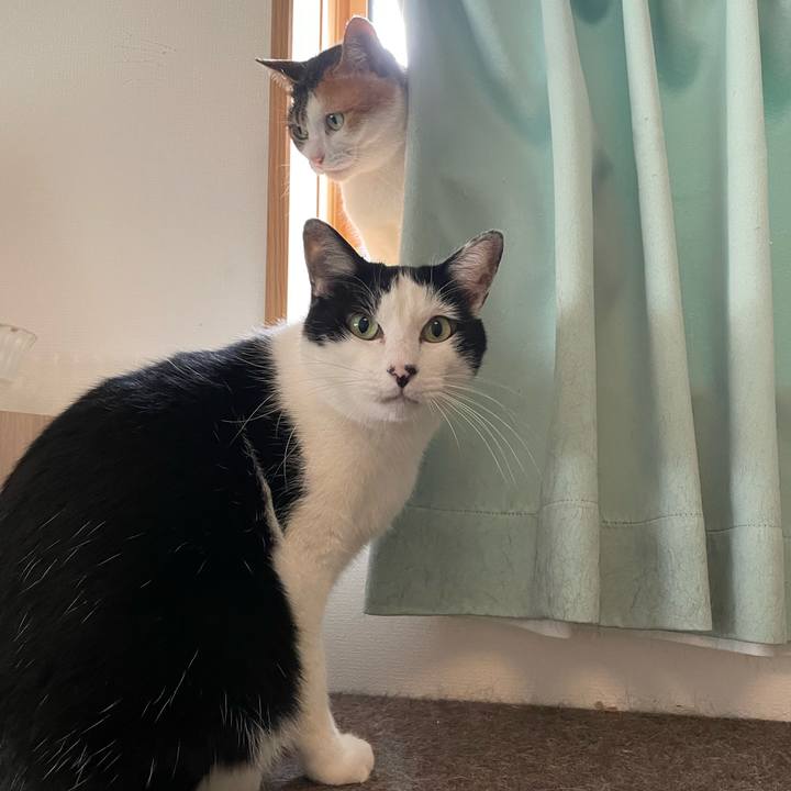 8e727ac4 9ba3 4f31 8c68 b65cd5737364 1680817738238