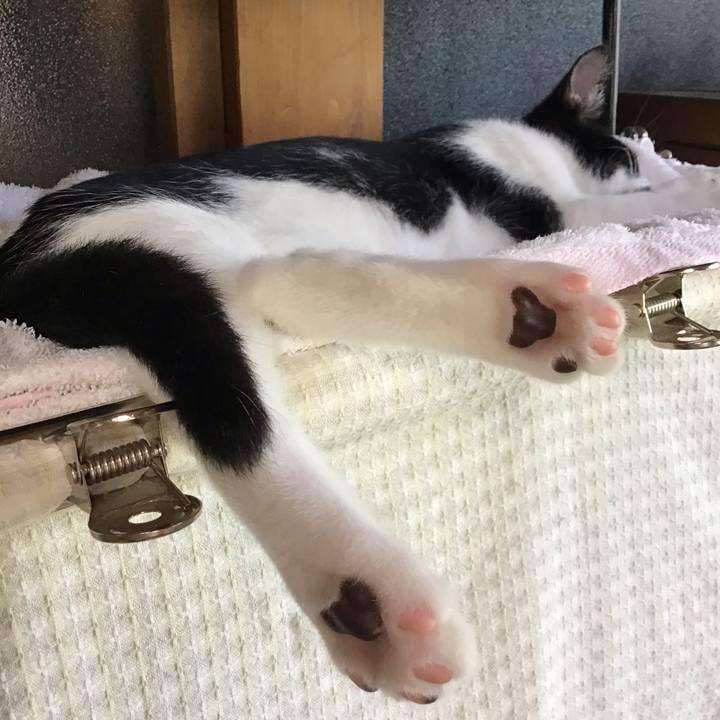 8e728467 b4fd 4ffd 96a4 136743dd8355 1627098941207