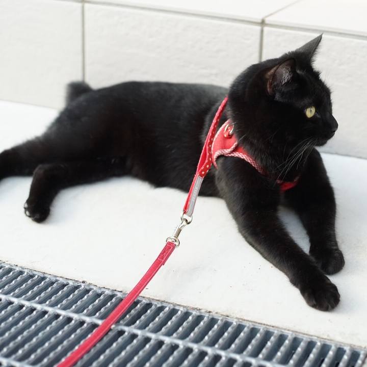 8e7294fc fefa 4735 bdc4 dae96a28b95f 1527426309149