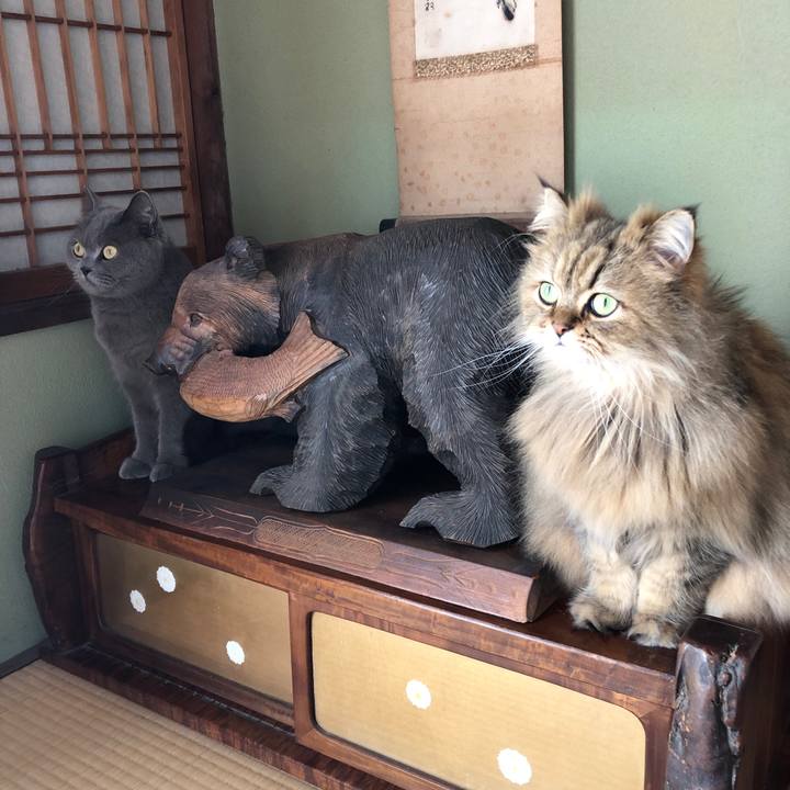 8e72a94f 8a22 4ad2 a77b 5044671e76d3 1554679616203