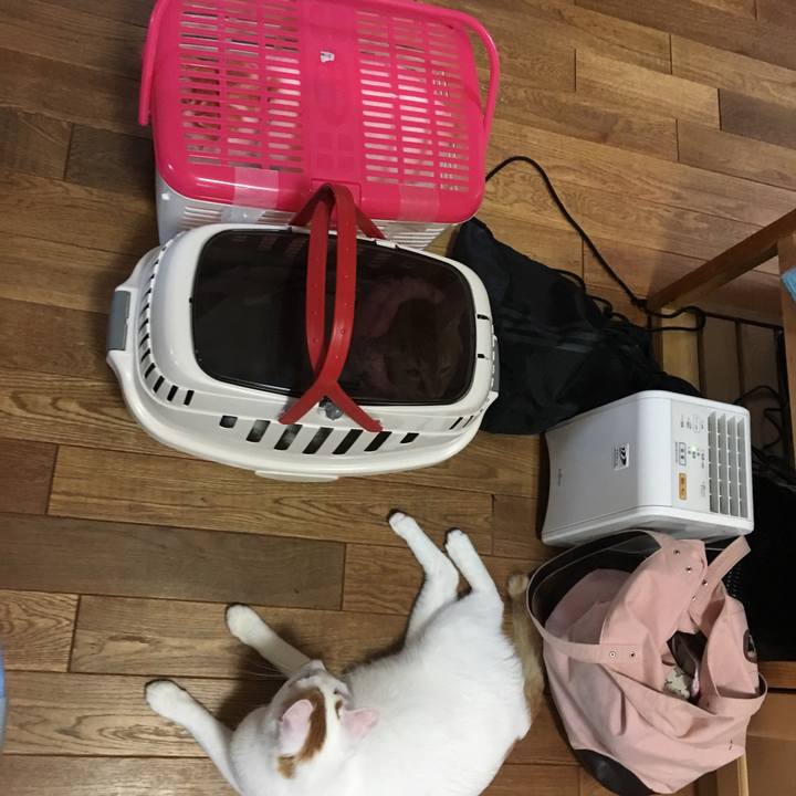 8e72abf1 c428 4521 83d4 31de08f31449 1529189554981