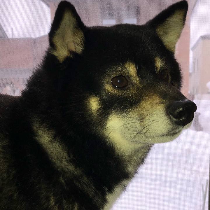 8e731e86 907c 468b b8a0 b51f11be1158 1520231984089