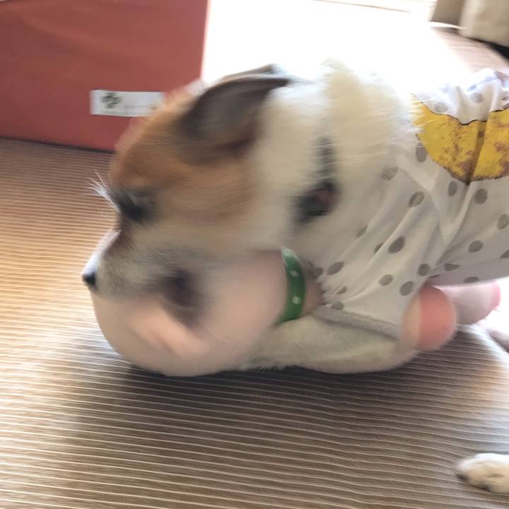 8e735fc5 0050 4ded 8364 ea2967843a37 1564124404671