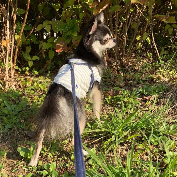 8e7366cd d885 4f2b 8c45 f09eadb52281 1667482631578