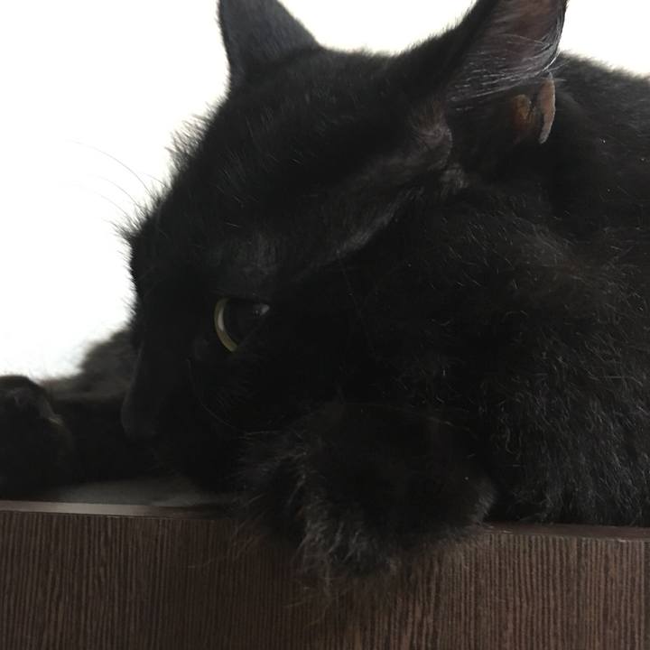 8e73b3b3 1881 438e b925 4757a70bc381 1570806754519