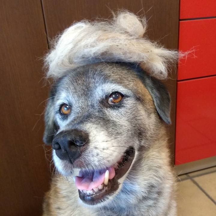 8e742824 3562 4ce8 841a e5d1207b7884 1678756236540