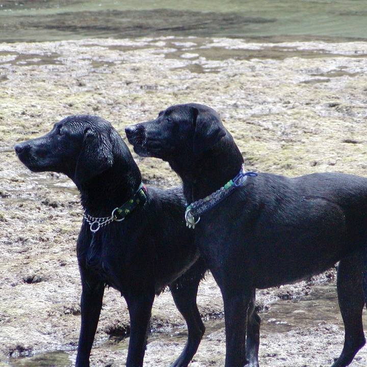 8e7431e5 2ea4 440e affc 7289aa0ea8b5 1522811351295