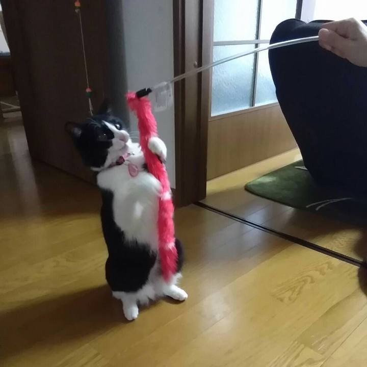 8e746acb 181e 4f2a b454 601054fa92de 1551880228554