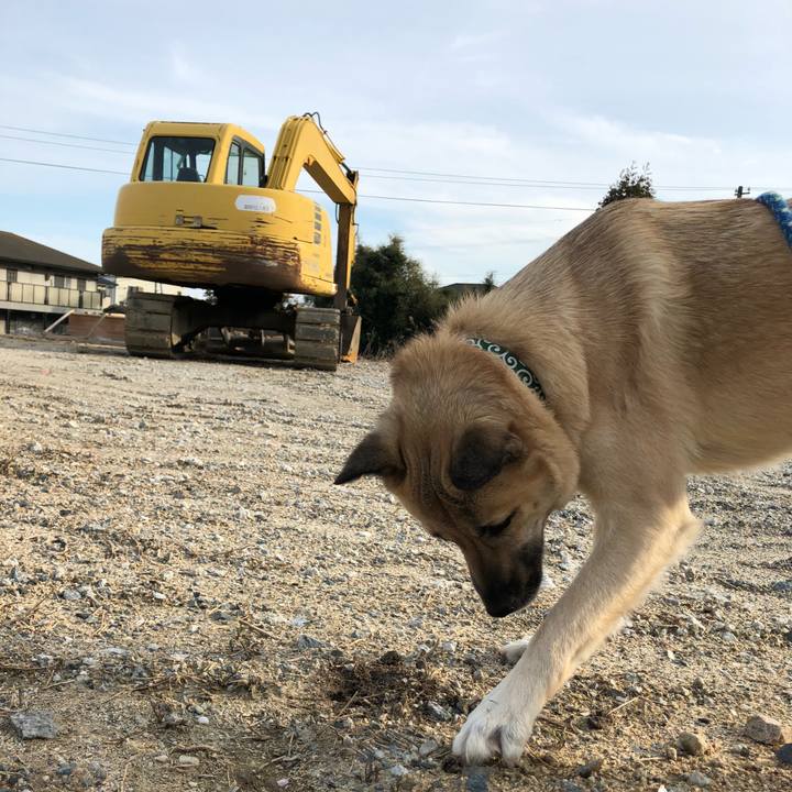 8e749023 fa2b 4667 878b 2be1b716d0f6 1552120188993