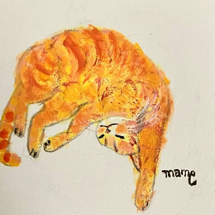 8e74a77a 5f99 486f b2ad 27ed4c4f3ff7 1719844523348