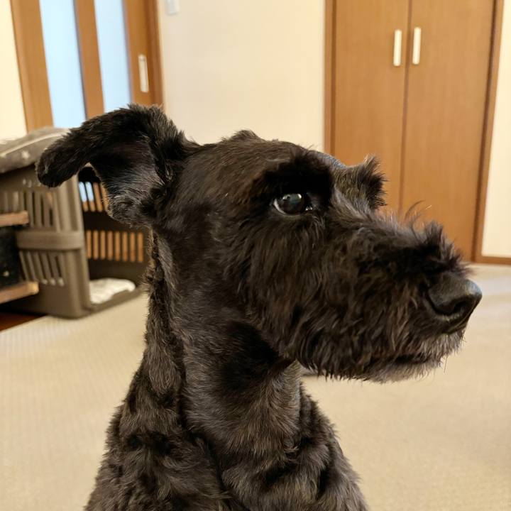 8e74f843 7cce 4cd7 b52c eb3b85e62d73 1755395637775