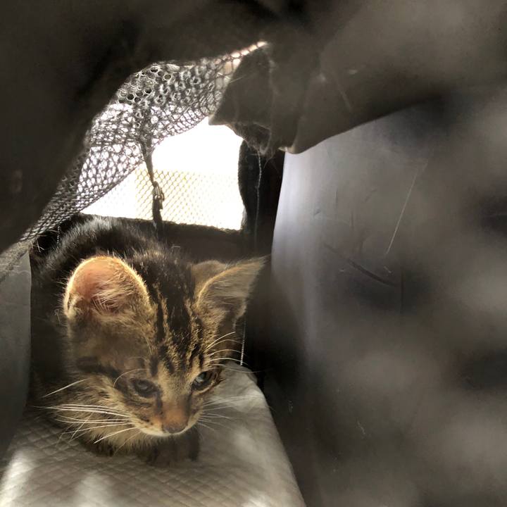 8e74fe31 5b3f 47ef abe0 9ec800f45dc5 1723942895994