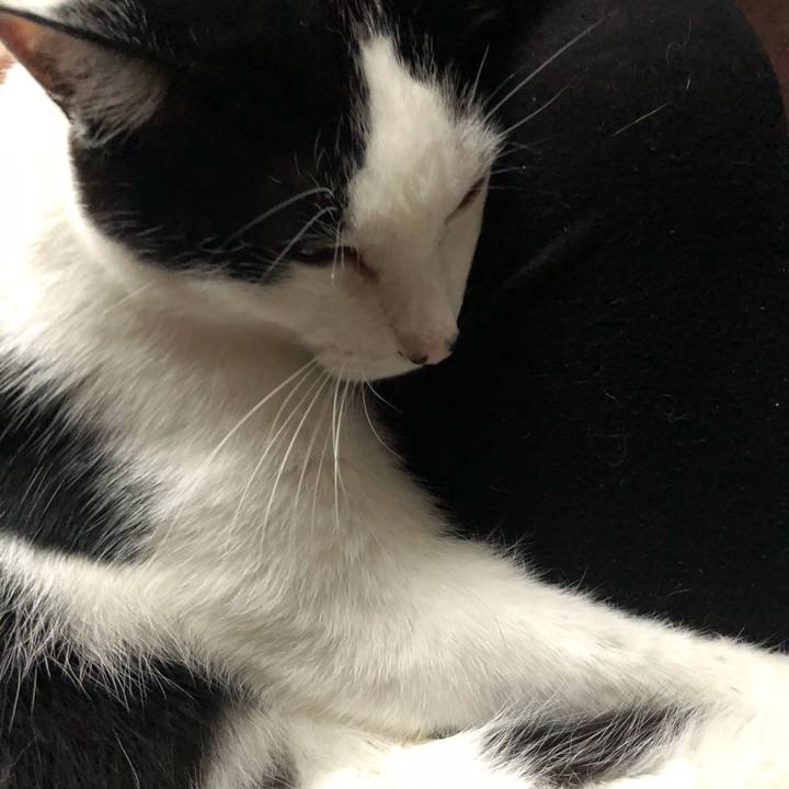 8e7515b4 e905 433b a296 1bd98ac4ed24 1593552531277