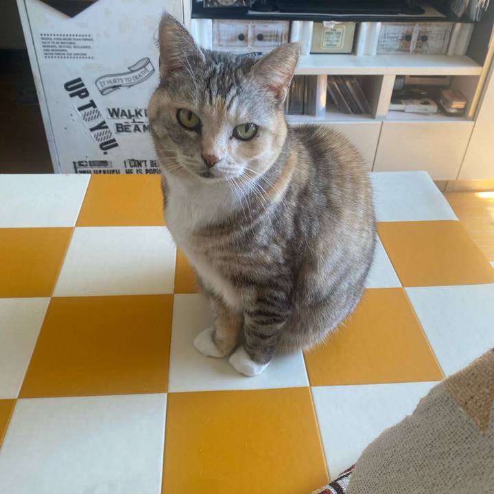 8e752926 b39c 40cc 9d96 14909335cd48 1710040838592