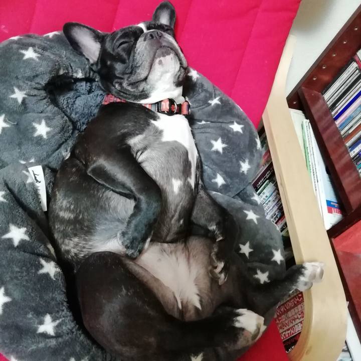 8e755b1f a3f1 4284 bc16 d14a36d0e5c7 1556021183023