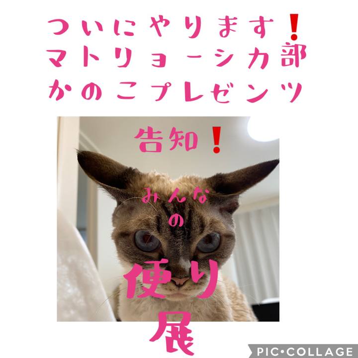 8e757369 cd6e 470e b32a 8c37651ecbf5 1661504409133