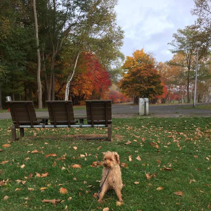 8e75f8cb 8962 4c69 9621 4f97dff1fe8d 1508636052593