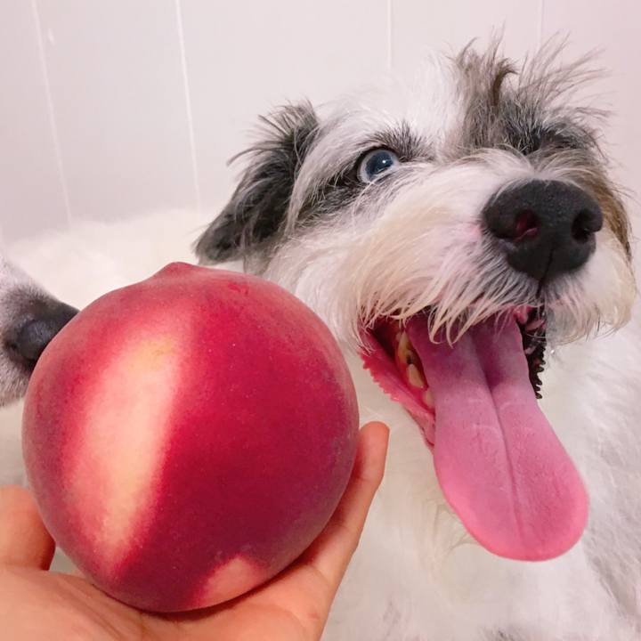 8e762b6e 93ad 4611 a4de 06ae6aeb0e2a 1565907122660