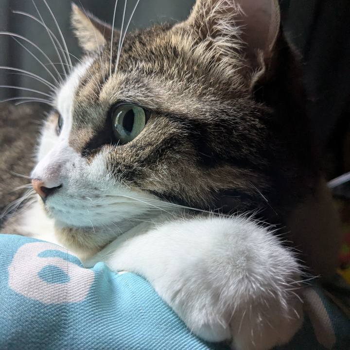 8e76372c 6523 4682 b994 e495deba1745 1758838236873