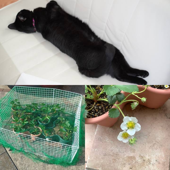 8e766bd8 cdf1 4903 8397 8d1ae938f7c3 1618921829865