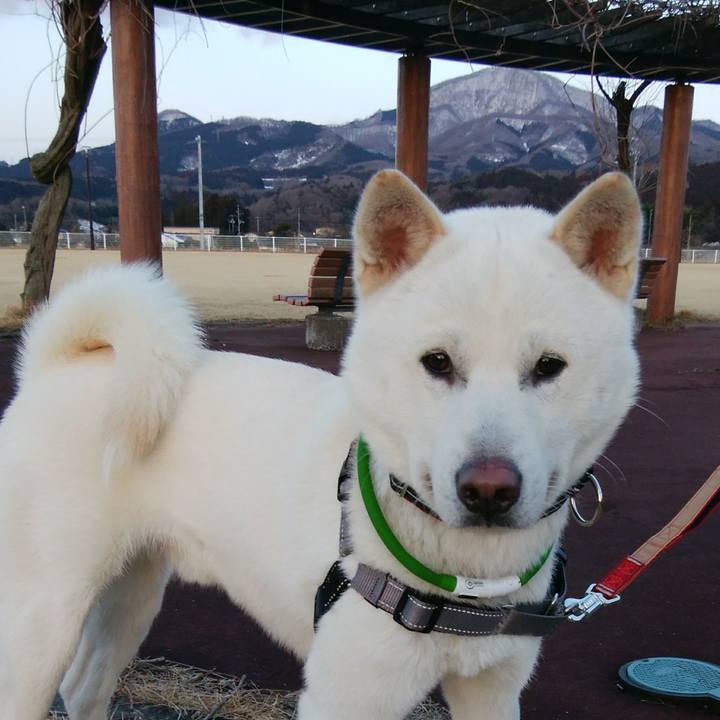 8e76772f 5960 4afc b534 3bb240e5738d 1518779983965