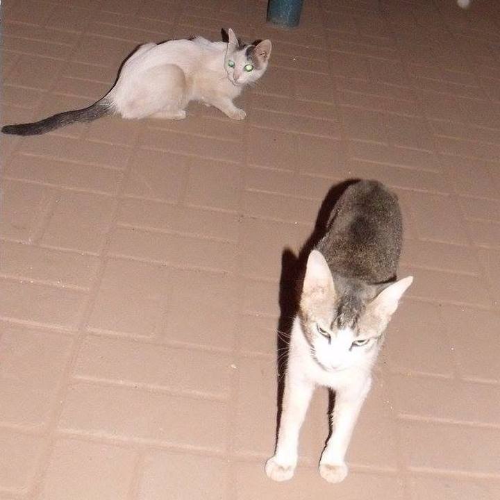 8e767769 cd55 4f88 9e5a 6b52850cf579 1550829830692