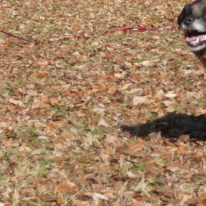 8e767d29 715e 4ab1 85dd 81313dac3b4b 1577149065118