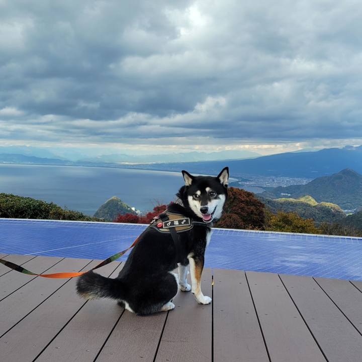 8e76918f e776 4666 b015 1b54b9a04d6a 1763537970682