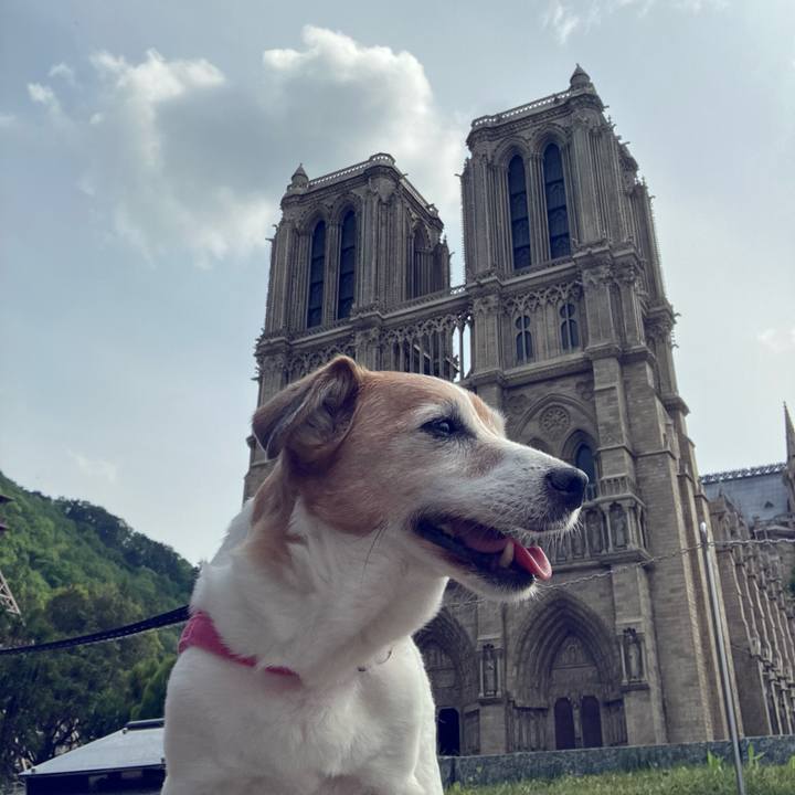 8e769ab2 f6ba 4157 93b8 58f5f5802bf0 1714391904920