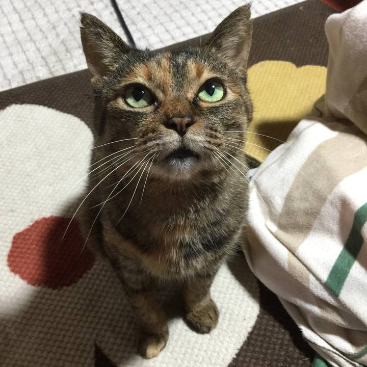 8e769ed4 5e0f 4a4e 9df6 06a313e2c2ad 1513146418476