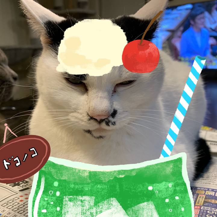 8e771477 b09f 4ba6 b27e 1a2ef88bb4ef 1755063068722