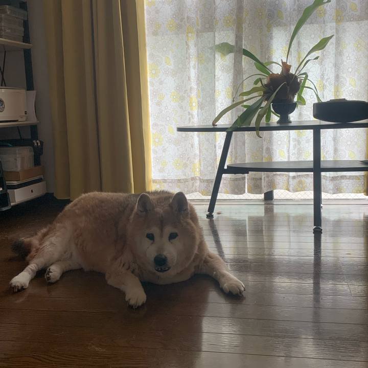 8e7766ac f534 4756 8071 c27c8b8cf533 1654909144149