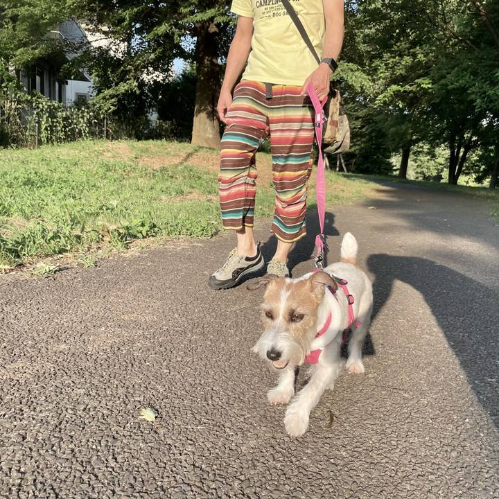 8e77b061 14ad 49c2 8ce9 ad6c395bcae9 1656161010033