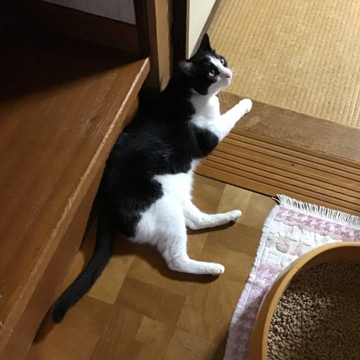 8e77b5a6 738d 4f7a 9911 f78a9742a032 1721039521032