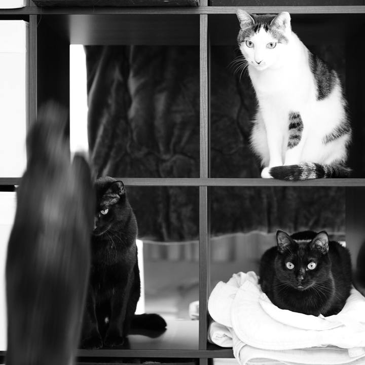 8e77cadd 22bf 4829 a7a8 8e38b1270fa8 1552347592965