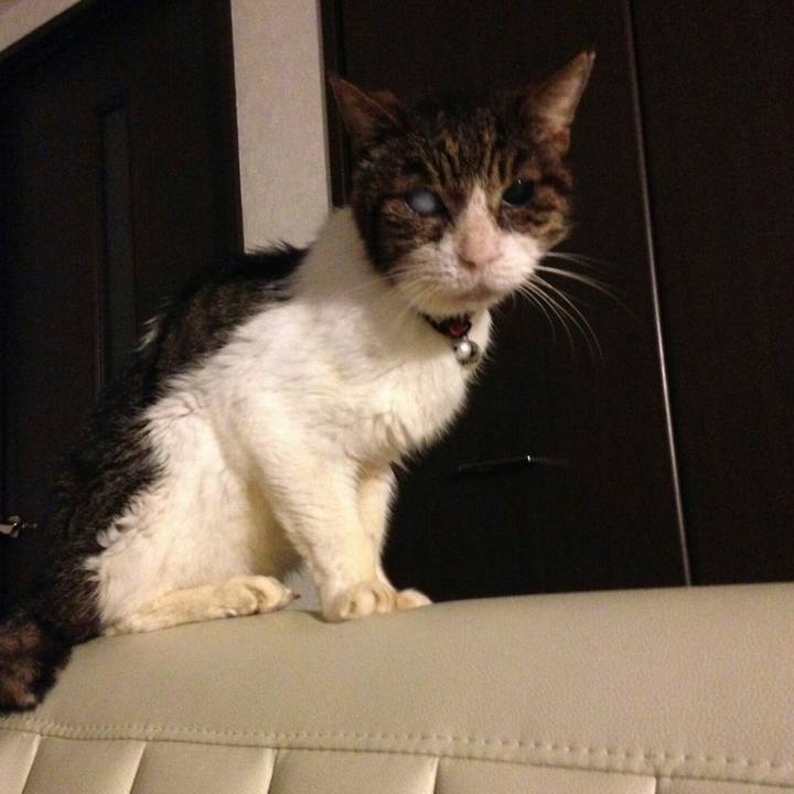 8e77e5d8 289f 4a43 9570 9fb4438c3051 1594216036857