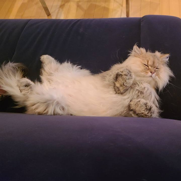 8e77f41a 37fa 4182 b14d f3bcb5f2666a 1617009200392