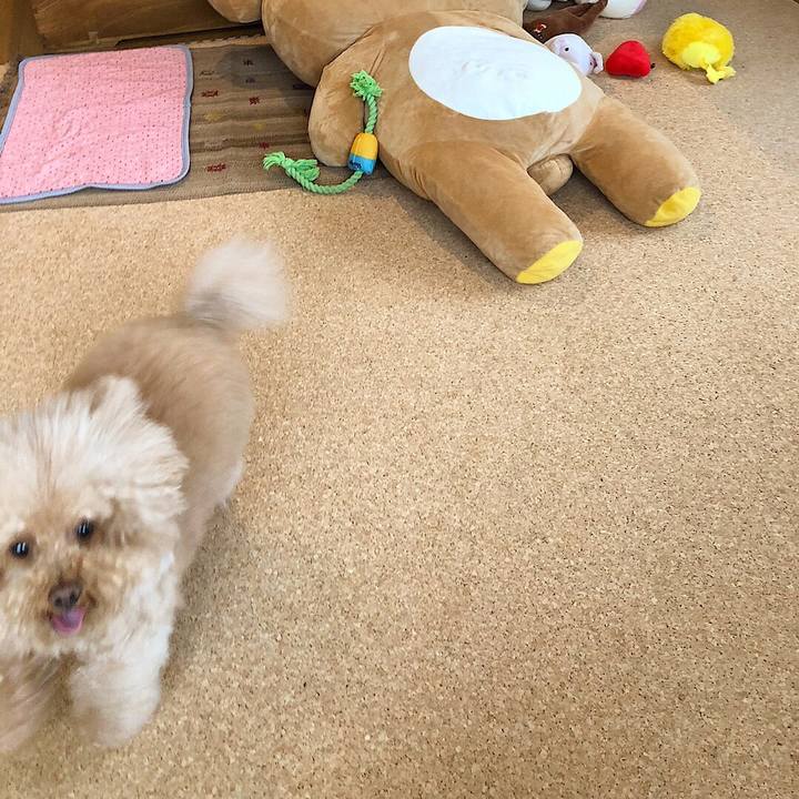 8e7802b4 190d 4f4d 8ed9 044bca83c70d 1527655435599