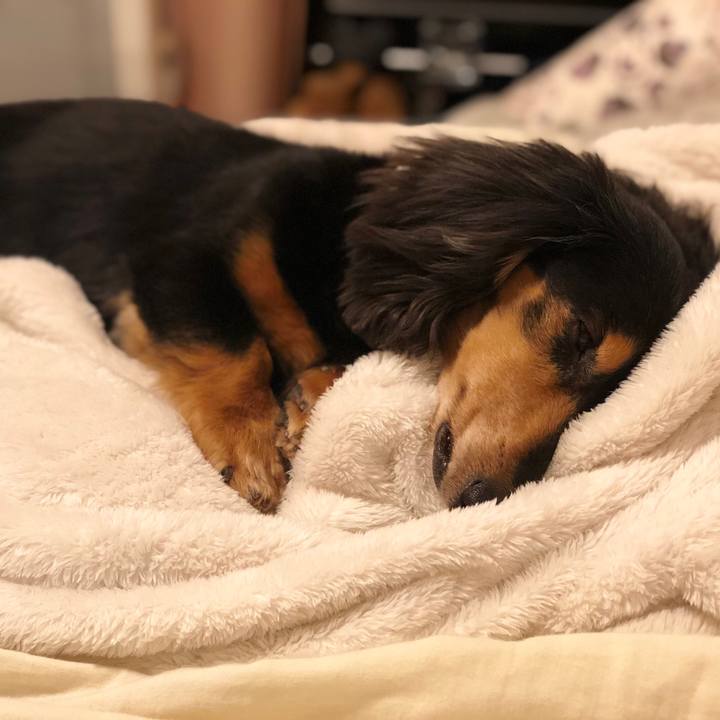 8e780b39 aa5c 4546 8f93 cb1e51189d2a 1556456915781