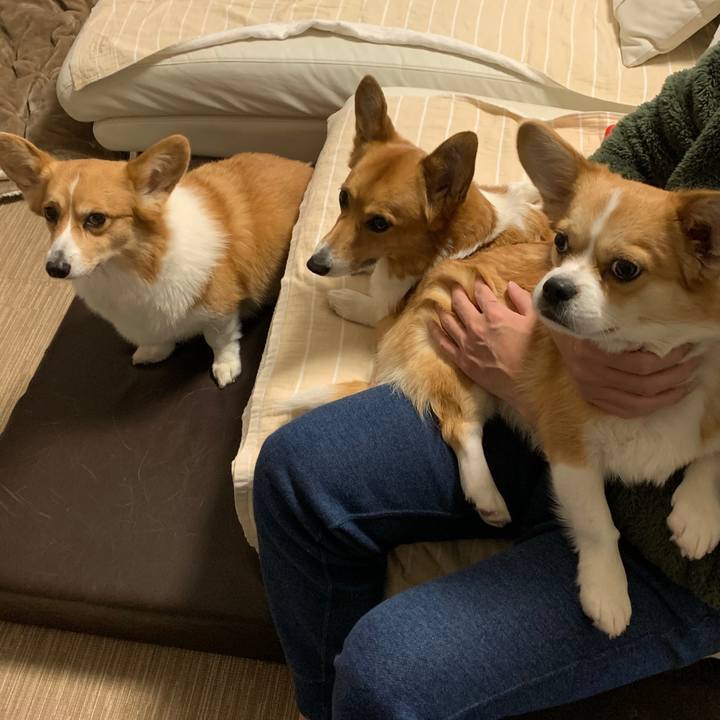 8e782458 b416 460d 8c1d e4210d3bd003 1578203917862