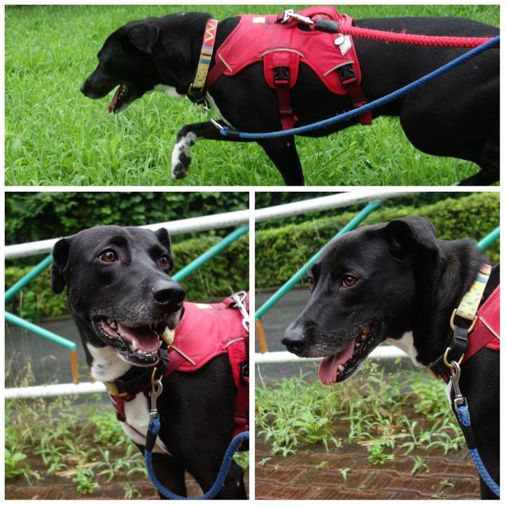 8e7877f5 4c10 4d4e 8dbb a7dec837dd78 1625703486820