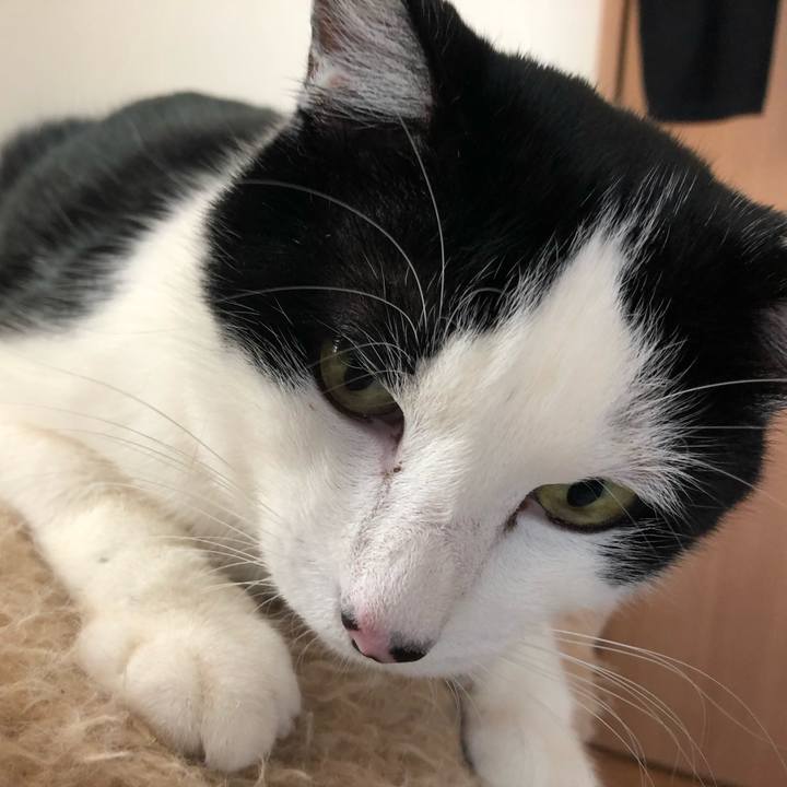 8e788e6b 0ea5 4cc0 8323 97a803583d94 1555969471549