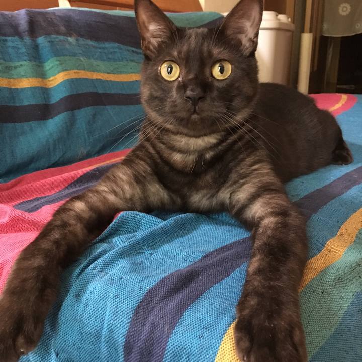 8e789d1c 783a 445a a5a6 a4b3f25aa2ff 1556931971572