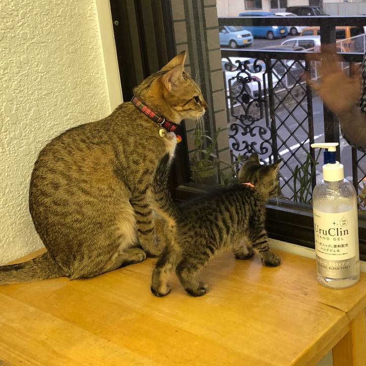 8e78db50 e8c5 48ca 816c a62c6f5ae37b 1601377658304