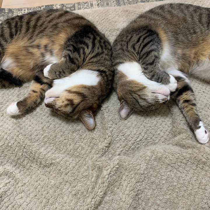 8e790347 acbd 40d5 8430 f6c9370398ec 1651668047040