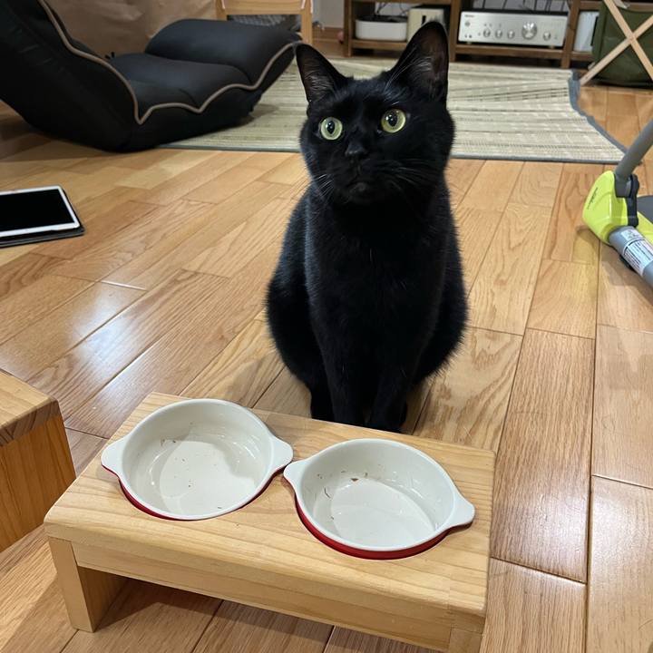 8e790f4b 74a2 4f8b 9c62 8170e0ed5475 1691896297017