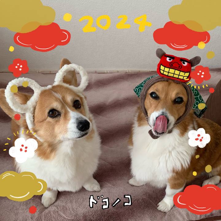 8e7937bd 1f35 40b0 bcdf a2d50a1ea9f7 1704072866270