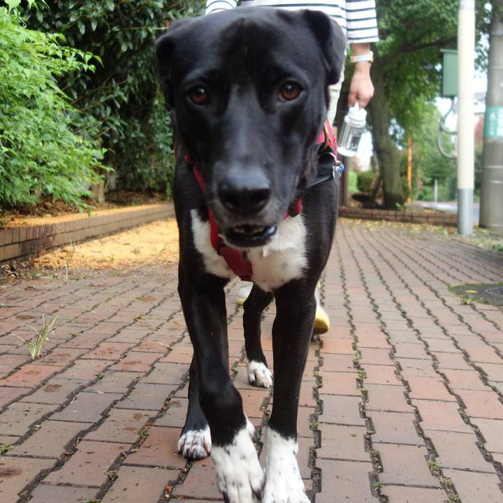 8e7954c1 5e52 4af0 861f 92ccaee057b2 1602460967565