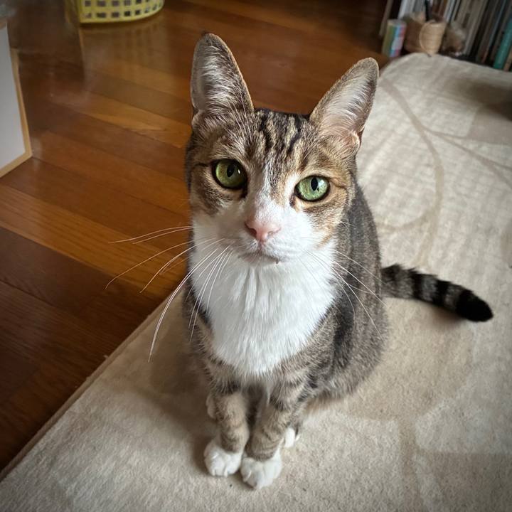 8e79555c 6293 40ae bf33 20c8e621720f 1751256350930