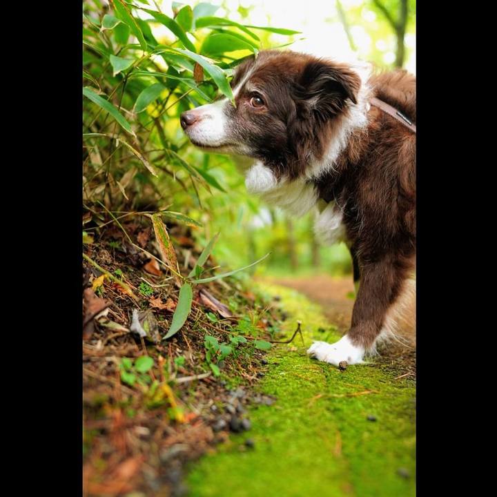 8e79585b ee8a 4e3f bf97 61bc1f283bc8 1760391880295